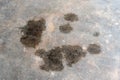 Oil stain or slick spilled from cars on dirty gray concrete floor or garage floor. dirty concrete background texture