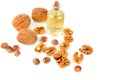 Oil of walnut and hazelnut, nuts isolated on white background. Royalty Free Stock Photo