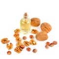 Oil of walnut and hazelnut, nuts isolated on white background Royalty Free Stock Photo