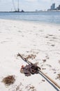 Oil washes ashore on beach