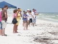 Oil washes ashore in Pensacola Beach