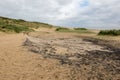 Oil waste dumped on Caister beach UK. Environmental pollution hazard