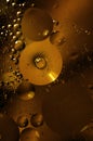 Oil and water circles abstract macro, gold and shiny drops and buubles. Royalty Free Stock Photo