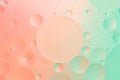 Oil on water macro photography abstract green and pink color gradient close up background Royalty Free Stock Photo