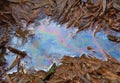 Oil in Water - Multicolored Pattern