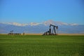 Oil Wells, Pump Jack , corn field and Mountains