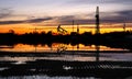 Oil wells and drilling tower