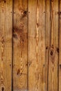 Oiled pine plank fence. Vertical wood texture Royalty Free Stock Photo