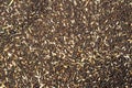 Oilseed processing, rapeseed feed for further processing into production, manufacture of rapeseed oil, background, colza