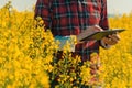 Oilseed rape farmer using digital tablet computer in blooming field