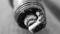 Oily and charred car sparkplug macro photo monochrome