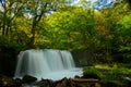 Oirase gorge in Aomori, Japan