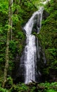 Oirase Gorge in Aomori, Tohoku, Japan