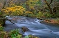 Oirase gorge in Autumn, in Aomori, Japan