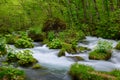 Oirase gorge in fresh green, Aomori, Japan