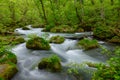 Oirase gorge in fresh green, Aomori, Japan