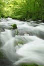Oirase stream Royalty Free Stock Photo