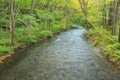 Oirase stream, Aomori, Tohoku, Japan