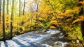 Oirase Stream in autumn at Towada Hachimantai National Park in Aomori, ,Tohoku, Japan