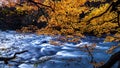 Oirase Stream Oirase KeiryÃÂ« is a picturesque mountain stream in Aomori Prefecture that is one of Japan`s most famous and Royalty Free Stock Photo