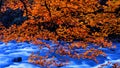 Oirase Stream Oirase KeiryÃÂ« is a picturesque mountain stream in Aomori Prefecture that is one of Japan`s most famous and Royalty Free Stock Photo