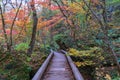 Oirase stream pathway, beautiful fall foliage scene in autumn colors