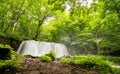 Oirase stream with Choshi waterfall in lush green forest