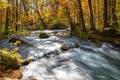 Oirase Stream in sunny day, beautiful fall foliage scene in autumn colors Royalty Free Stock Photo