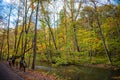 Oirase Stream in sunny day, beautiful fall foliage scene in autumn colors