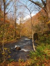 Oirase Streams, Aomori, Japan