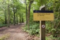 Oisterwijkse Bossen en Vennen, Oisterwijk Forests and Fens