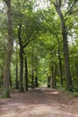 Oisterwijkse Bossen en Vennen, Oisterwijk Forests and Fens