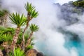 Oita, Japan hot springs. Royalty Free Stock Photo