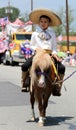 Ojai 4th of July Parade 2010 Royalty Free Stock Photo