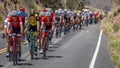 OJAI CALIFORNIA USA - MAY 14, 2018 - Amgen Stage 2 Mens Bicycle Tour of California, VENTURA TO. Stage, athletic