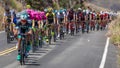OJAI CALIFORNIA USA - MAY 14, 2018 - Amgen Stage 2 Mens Bicycle Tour of California, VENTURA TO. Athletic, athletes