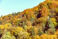 Trees and hills in autumn colors /  landscape, Poland Royalty Free Stock Photo