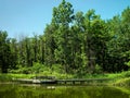 Ojibway Park Boardwalk and Pond