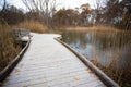 Ojibway Park Peaceful Natural Wood Boardwalk Trail Royalty Free Stock Photo