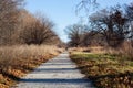 Ojibway Tallgrass Prairie Trail Brown Winter Scene Clear Day