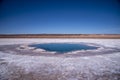 Ojos de Mar, La Puna, Argentina Royalty Free Stock Photo