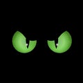 Green eyes in the dark, special for scary illustrations, halloween. Animal in the dark. Royalty Free Stock Photo