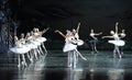 Ojta forgive the prince-ballet Swan Lake