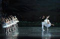 Ojta told Prince story-ballet Swan Lake