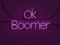 Ok Boomer Neon Text Sign in mode on with glowing violet color concept