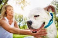 Ok lady, thats enough now...a dog being washed by his owner. Royalty Free Stock Photo