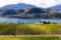 Okanagan Falls Skaha Lake Vineyard Royalty Free Stock Photo