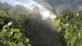 Okanagan Irrigation 4K UHD