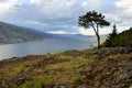 Okanagan lake kelowna Royalty Free Stock Photo