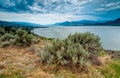 Okanagan Lake Near Naramata View With Brush Royalty Free Stock Photo